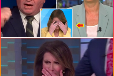 LIVE TV MELTDOWN: Tanya Plibersek & Barnaby Joyce ERUPT in explosive Sunrise clash — stunned host Nat Barr forced to step in