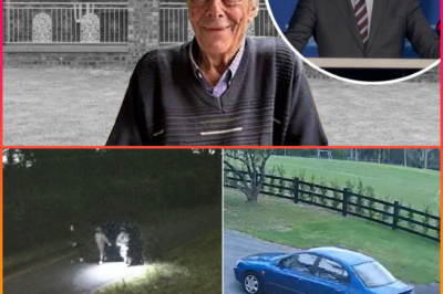 THIS F00TAGE HOLDS THE TRUTH! — CCTV REVEALS SUSPECTS’ FINAL MOVES BEFORE DE-ADLY ABDUCTI0N