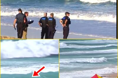 HE WAS THE ONE WHO SAVED OTHERS… – Tragic twist after missing 18-year-old surf lifesaver is found de-ad in the ocean on the Sunshine Coast