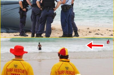 Trag:edy at Shellharbour Beach — Couple Drowns While Bystanders Race to Help