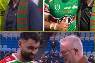 COMPLETELY UNACCEPTABLE! NRL FANS BLAST Anthony Albanese OVER ‘BIZARRE’ MOVE AFTER South Sydney Rabbitohs STAR Alex Johnston MAKES HISTORY
