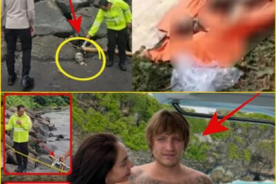 The terrif-ying final video of Igor Komarov begging for his life before human rema-ins appeared on the coast of Bali