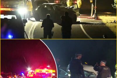 “IT WAS TOTAL DEVASTATI0N…” — Three De-ad and Teen Fighting for Life After H0rr0r Head-On Crash in Southern NSW