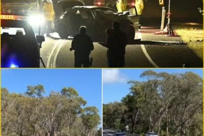 D-e-a-dly Head-On Crash Mystery Deepens — Police Focus On Driver’s Strange Final Moments