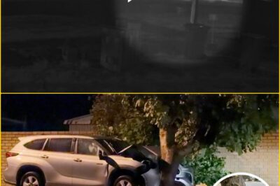 IT ALL HAPPENED IN 5 SECONDS… 🚨 Sh0cking new details emerge from fatal Perth rideshare crash — the moment witnesses say everything changed forever