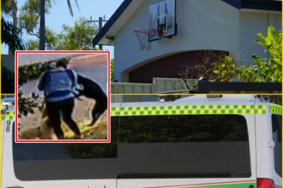Terrif:ying dog attack leaves girl h0spitalized in Perth’s north — but the sh0cking detail emerging afterward has stunned locals