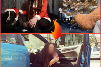 SHE SEEMED FINE… THEN EVERYTHING CHANGED — FEMALE RAPPER, 37, D-I-E-S SUDDENLY AFTER HEART ATTACK