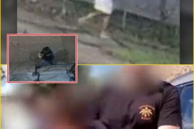 SOMEONE IS WATCHING OUR HOMES…: Police release suspect image after terrif:ying night-time attack on sleeping woman in Blacktown — and investigators fe:ar it may not be an isolated case