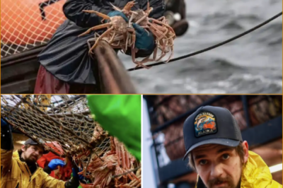 TRAG3DY IN THE HARSH OPEN SEA: “D-eadliest Catch” Star Todd Meadows Di3s, Officials Reveal Cause That Leaves Many Stunned