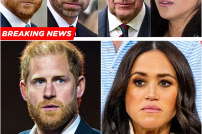 JUST IN: Prince Harry And Meghan Markle Risk Escalating Royal Tensions With Latest Move…