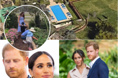 THE NEIGHBORS ARE DISTANT… — MEGHAN MARKLE & PRINCE HARRY FACE COLD SHOULDER IN MONTECITO