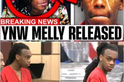 SH0CKING: YNW Melly requests to be released again after being in jail for seven years — And the Outcome Isn’t What We Expected…