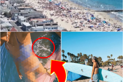 JUST IN — Surfer’s Terr!fying Great White Shark Encounter Off SoCal Beach Sparks Widespread Sh0ck….