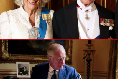 King Charles Is Worth $850 Million — Yet Receives No Salary, Leaving Royal Watchers Wondering How His Life and Work Are Really Funded…