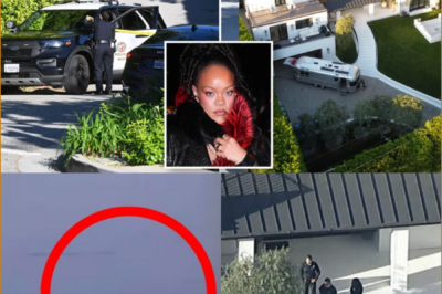 THE WOMAN ACCUSED OF FIRING SH0TS OUTSIDE Rihanna’S LOS ANGELES MANSION HAS BEEN ARRESTED — SUSPECT IDENTIFIED AS INVESTIGATORS WORK TO DETERMINE A MOTIVE