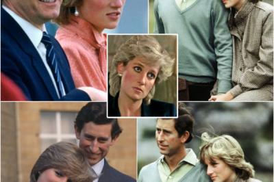 The ‘Third Person’ No One Fully Understood — New Claims Resurface About Princess Diana, King Charles III, and the Man Linked to a Mysterious Ending…