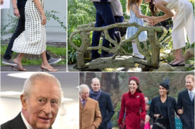 JUST IN — Claims Surface That Prince Harry Hopes for Royal Welcome, But Questions Linger…