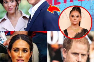 NETFLIX DIRECTOR SPEAKS JUST 5 WORDS ABOUT PRINCE HARRY AND MEGHAN, LEAVING HOLLYWOOD SHAKEN AND FANS STUNNED
