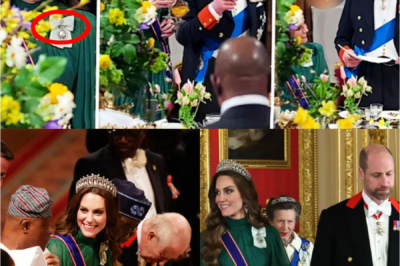 JUST IN — ROYAL MYSTERY UNVEILED: Windsor Falls Silent as Princess Catherine Performs Mysterious Gesture Toward King Charles at Historic State Banquet