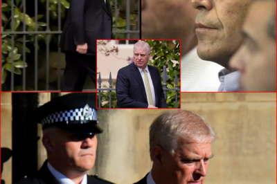 BREAKING NEWS — Police issue new statement after Andrew Mountbatten-Windsor ‘speculation’