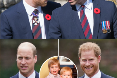 A PROLONGED SILENCE 👀 And what Omid Scobie has just revealed about the relationship between Prince William and Prince Harry is starting to raise new questions