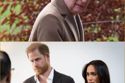 KING CHARLES ‘ULTIMATE OLIVE BRANCH’ TO HARRY & MEGHAN — BUT WILL IT LEAVE ANDREW FUMING?