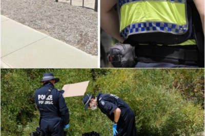 27-Year-Old’s B0dy Found in Yanchep Bushland: Police Launch H0micide Investigation in Quiet Suburb