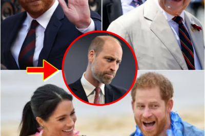 WORLD WATCHED AS HARRY & MEGHAN ARRIVED IN AUSTRALIA — But A Subtle Palace Moment Sparks Tension, Fans Scramble Over What Was Said…