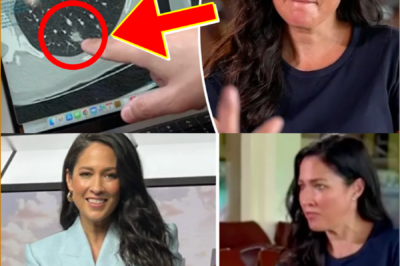 TV STAR’S SUDDEN DISAPPEARANCE EXPLAINED — Channel 7 PRESENTER Mel McLaughlin REVEALS PRIVATE BATTLE THAT LEFT HER CALLING THE EXPERIENCE “TRAUMATIC”