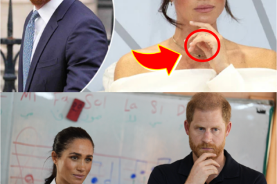 PRINCE HARRY LEFT FURIOUS AFTER “REALITY CHECK” ABOUT MEGHAN MARKLE — AND IT CHANGED EVERYTHING…
