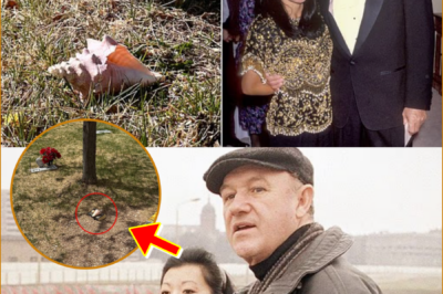 A LONELY GRAVE MARKED ONLY BY A CONCH SHELL… AS Gene Hackman’S $90M FORTUNE SPARKS A BITTER FAMILY BATTLE ONE YEAR AFTER THE SH0CKING D-E-ATHS
