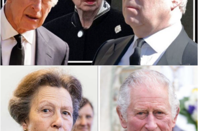 👀 AT THE CENTER OF THE ANDREW CRISIS ⚠️ ANNE EMERGES AS A DECISIVE FORCE INSIDE THE PALACE