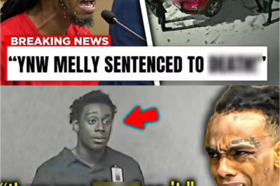 YNW Melly GOES CRAZY After New Murd3r Footage Leaks In Court
