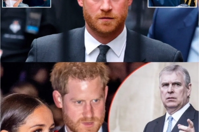 ARE HARRY & MEGHAN NEXT? — GROWING CALLS TO STRIP THEIR TITLES LIKE Prince Andrew SEND SH0CKWAVES THROUGH British royal family