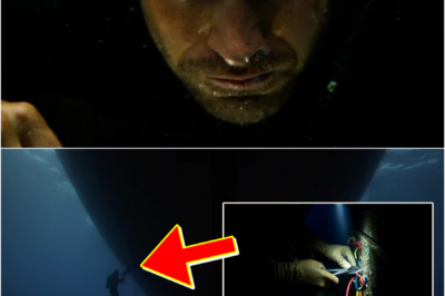 “IN THE DARKNESS BENEATH THE SEA…” — The Navy SEAL HELD HIS BREATH FOR FOUR LIFE-OR-DEATH MINUTES, SILENTLY CUTTING THE EXPL0SIVE WIRE BENEATH THE ENEMY SHIP WHILE ALL COMMUNICATIONS WERE SEVERED