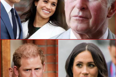 Blow to Prince Harry and Meghan Markle in security battle with British government