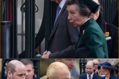 CAUGHT ON CAMERA — Prince William’s 7 Words to Princess Anne in Front of 1,800 Guests Sparks Online Frenzy
