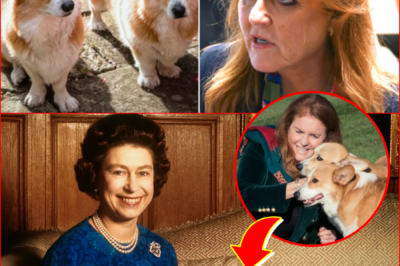 Sarah Ferguson Denies Bizarre Corgi Cloning Claim — But Questions Remain…