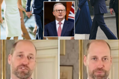 BREAKING NEWS: Prince William has sparked fresh discussion across royal circles — and it comes only days after Prince Harry and Meghan Markle revealed plans for a new visit to Australia