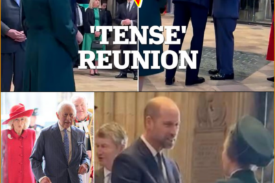 “I’VE HAD ENOUGH OF HEARING HIS NAME” — LIP READER CLAIMS PRINCE WILLIAM’S TENSE WORDS TO PRINCESS ANNE WERE CAUGHT ON CAMERA DURING COMMONWEALTH DAY SERVICE