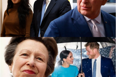PALACE LINES DRAWN — Prince Harry AND Meghan Markle’S RUMORED PATH BACK TOWARD ROYAL LIFE IS ALREADY MEETING A WALL INSIDE THE PALACE — AS WHISPERS OF MOVES AROUND King Charles III AND Prince Andrew, Duke of York’S Royal Lodge SPARK TALK OF A DEEPENING ROYAL DIVIDE