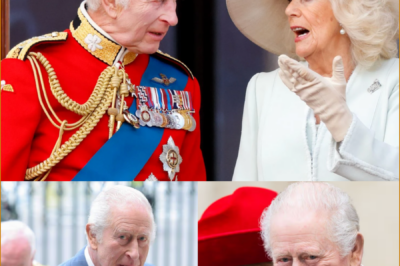 ROYAL MOMENT CAUGHT ON CAMERA – KING CHARLES’ STERN THREE-WORD ORDER TO QUEEN CAMILLA SPOTTED BY A LIP READER