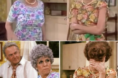 One Warning, Then Everything Fell Apart: The Live TV Moment That Spiraled Out of Control