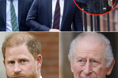 ROYAL MOVE UNDER SCRUTINY — Prince Harry’s Actions Spark Speculation During King Charles’ US State Visit… and It’s Not What We Thought