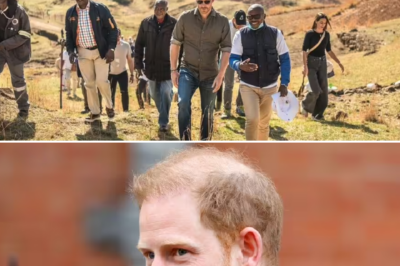 Harry officially speaks out before the recent noise related to the charity