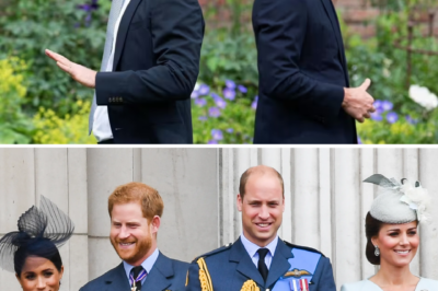 A once-in-a-lifetime opportunity for Prince William and Harry to reunite after years of estrangement