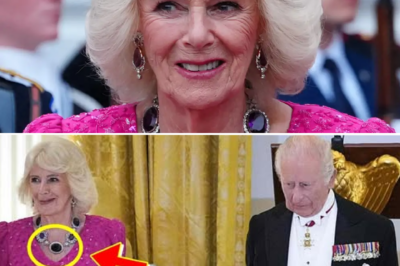 KING CHARLES III AND QUEEN CAMILLA STUN AT THE WHITE HOUSE: EXQUISITE FASHION AND LUXE DETAILS LEAVE THE PUBLIC IN AWE!