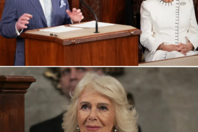 A close-up look at Queen Camilla’s Art Deco brooch: A century-old jewel with profound symbolic meaning