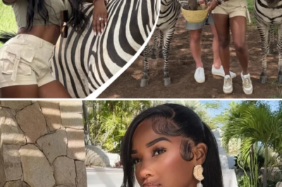 “She was engaged, she celebrated her birthday thereafter, and then she’s just gone”: Ashlee Jenae’s mother breaks down over her tragic d3:ath AND THE CHILLING 11-HOUR SILENCE!