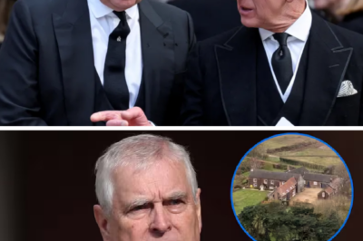 An update on Andrew’s first days at his new residence, featuring his surprisingly ordinary daily activities